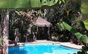 Candy Ilhabela 1